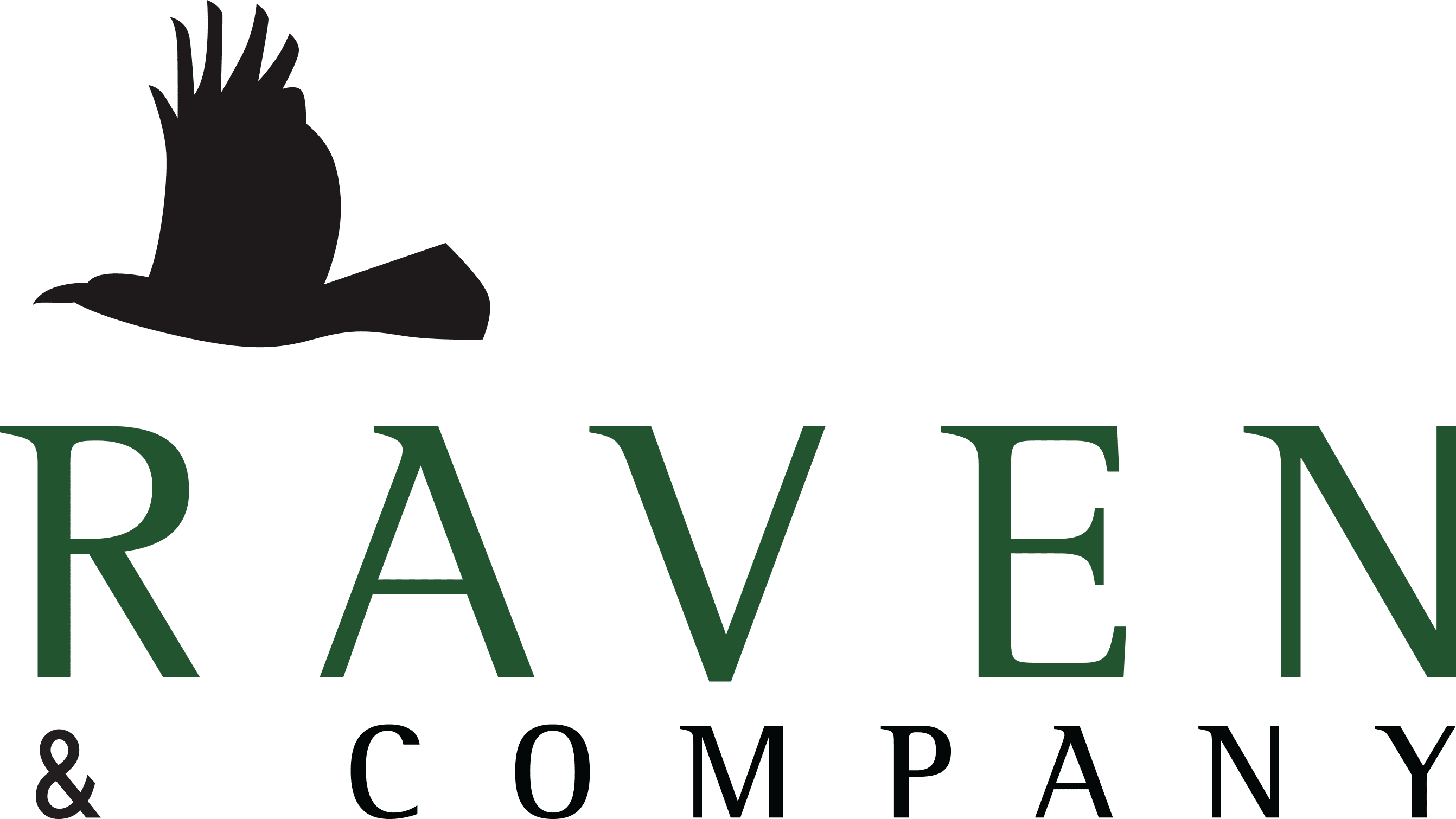 Raven_Co NEW '22 (1)